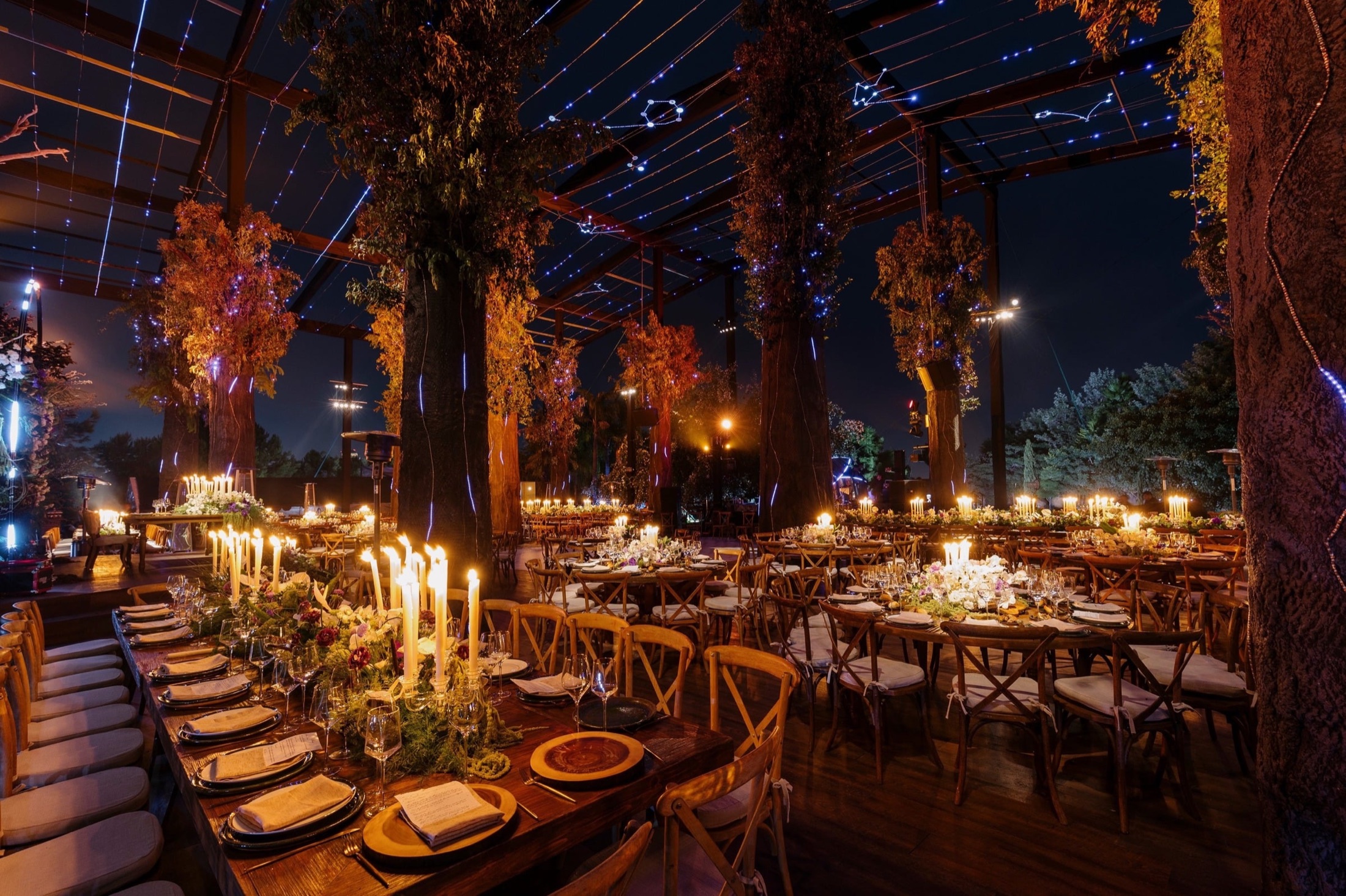 Outdoor evening event with palms