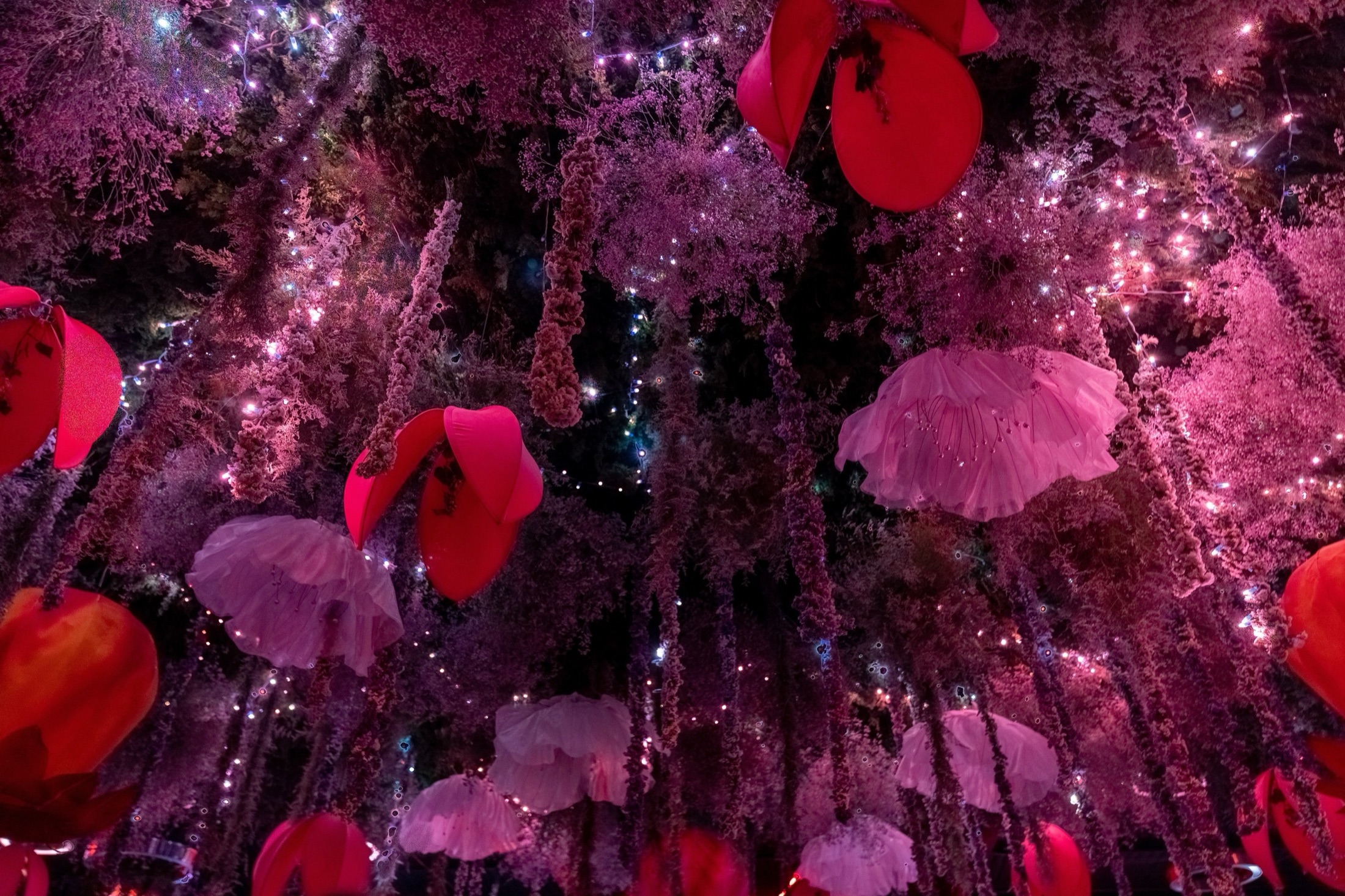 Wedding and private celebration lighting